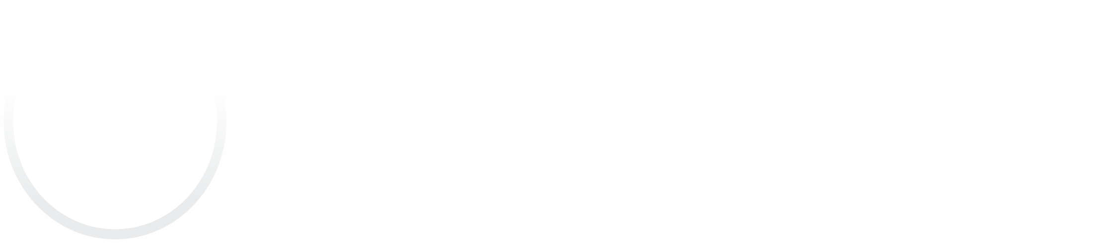 Altra Power Eletrical Industries Pvt. Ltd logo