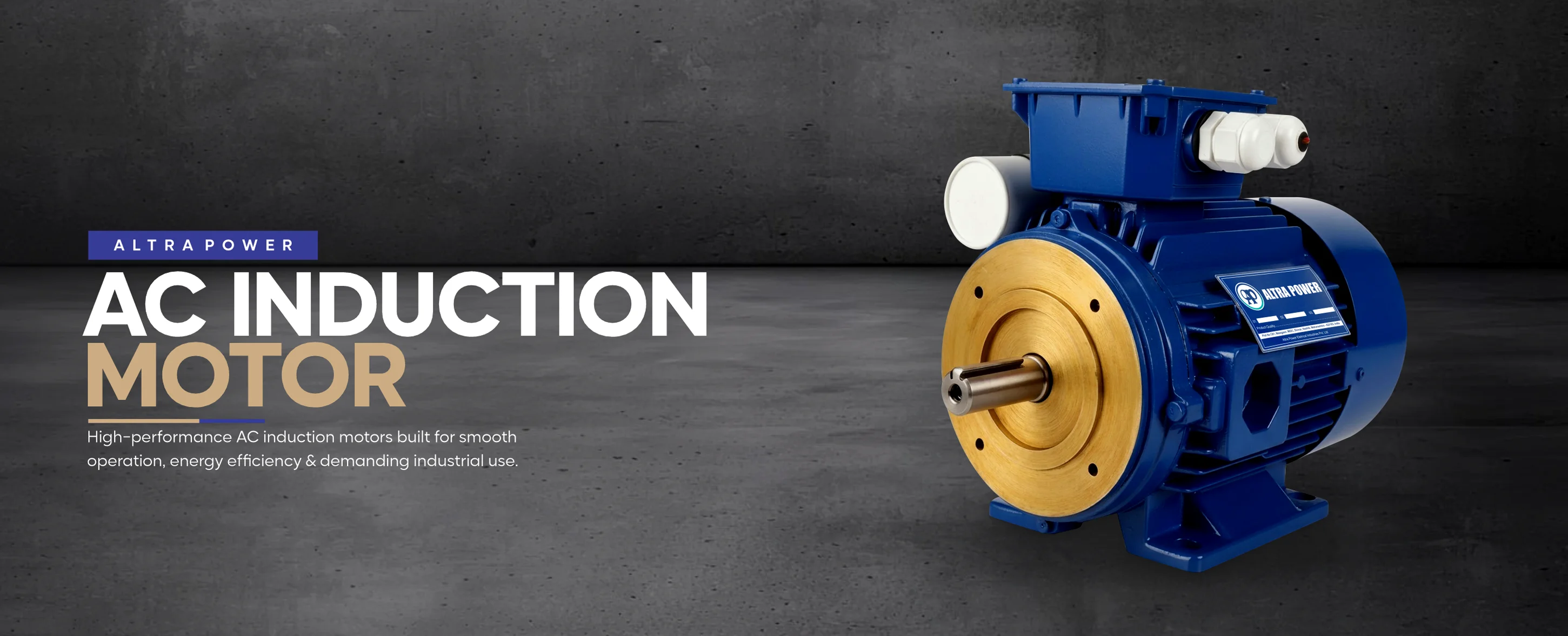 AC Induction Motor Manufacturer in Rajasthan