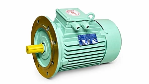 Induction Motor: Applications, Types & Benefits