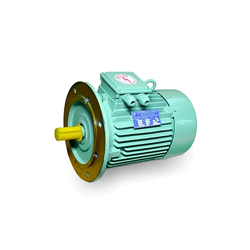Induction Motor Manufacturer in Rajasthan