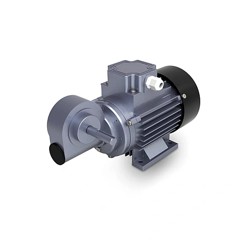 FHP Motor